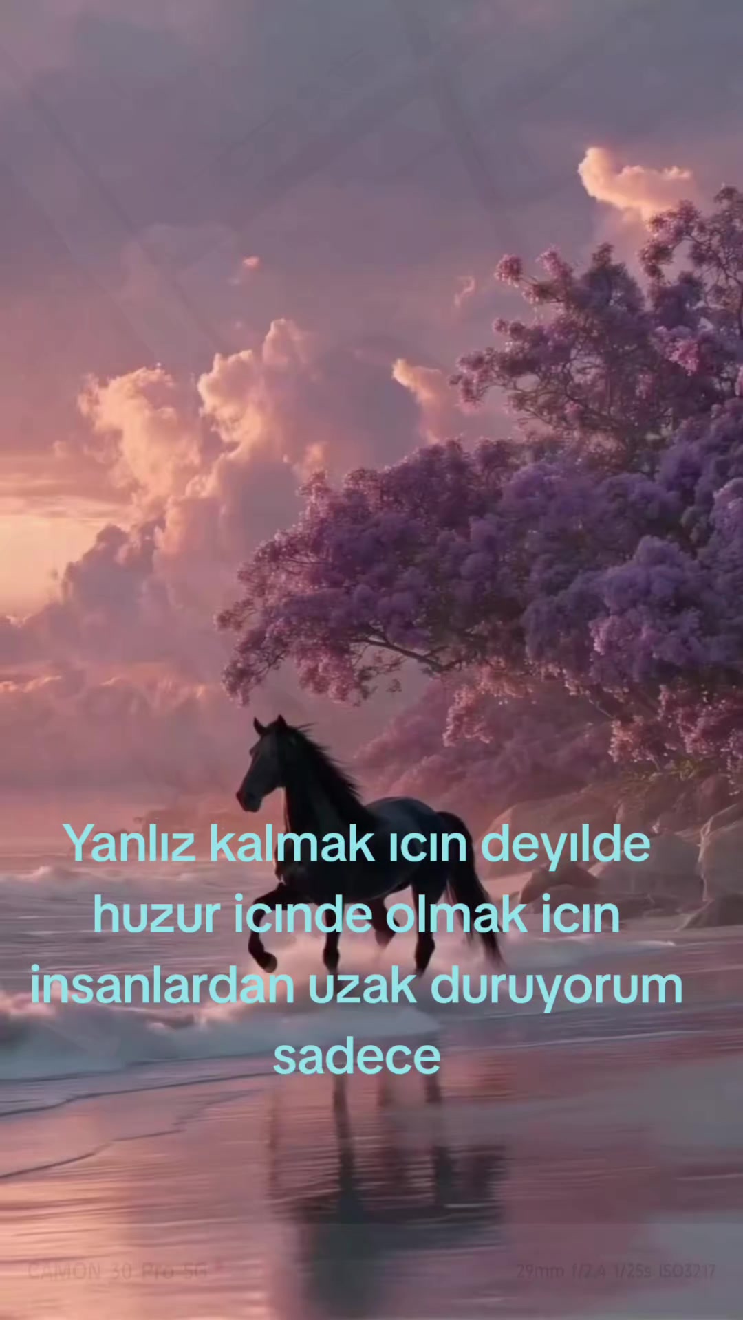 @kurt bey 52