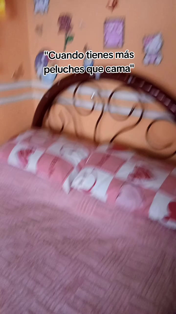 @Haydet 🤍✨️