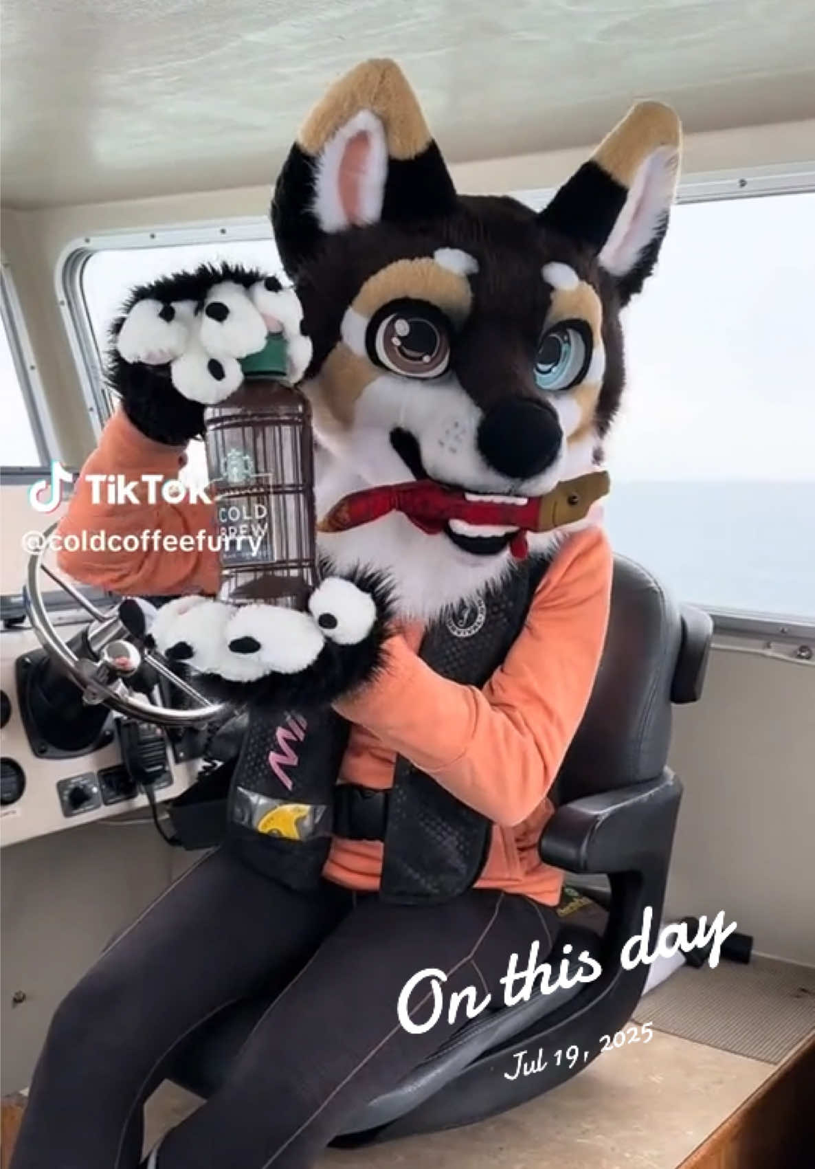 @Kodiak