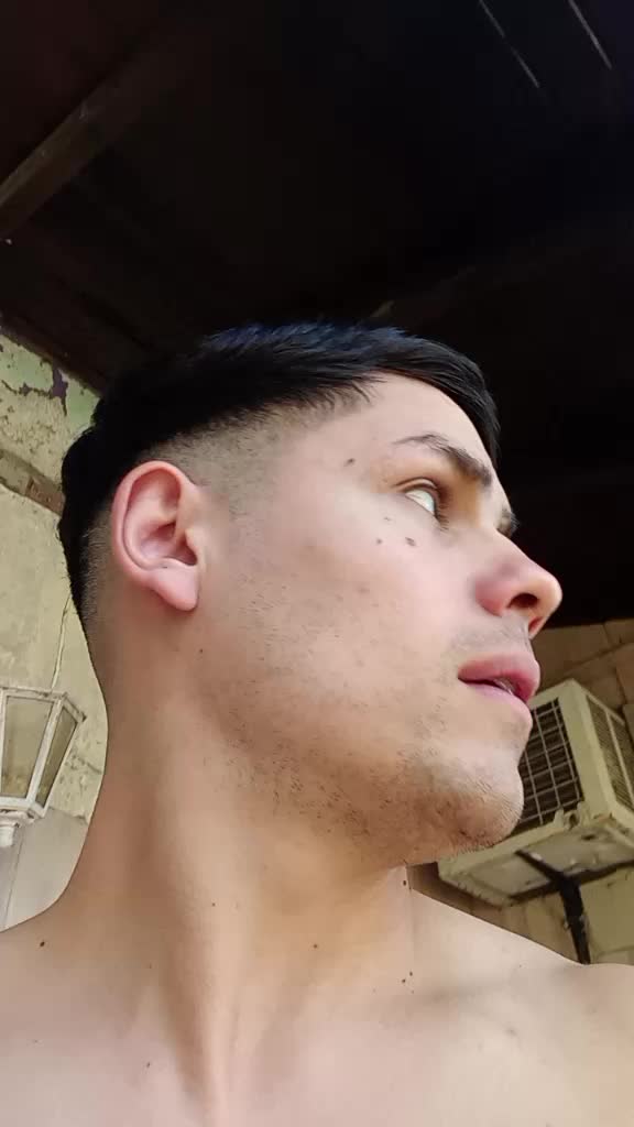 @Le&oacute;n gavil&aacute;n 🦁 🦅