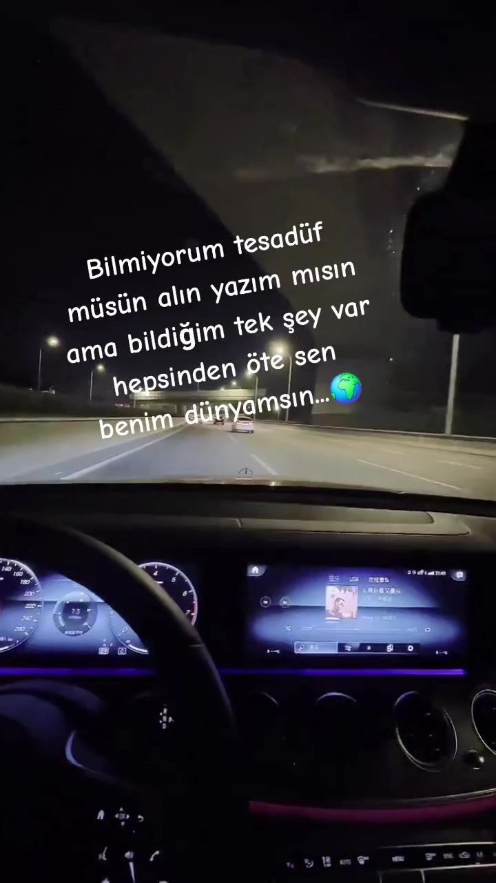 @niğdeli hanım