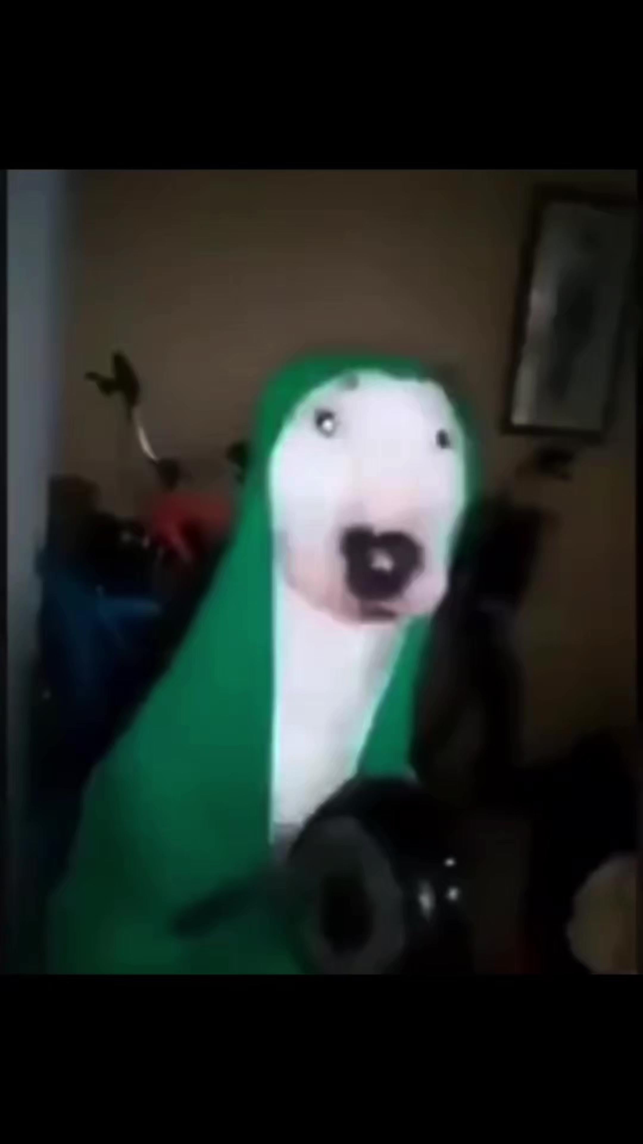 @𝗖𝗔𝗧𝗦