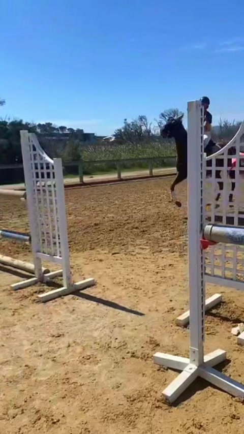 @skye.oequestrian38