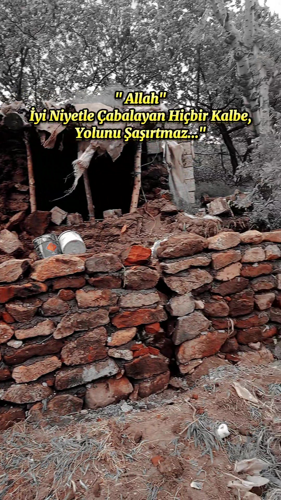 @Kasım