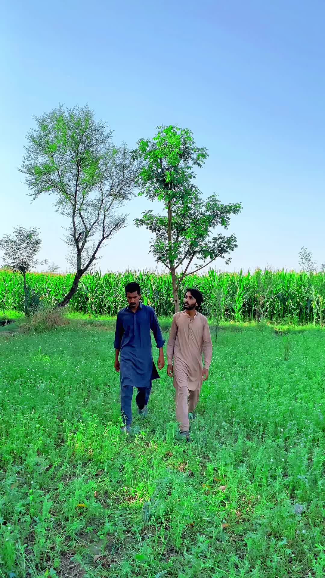 @Team.Aftab.81