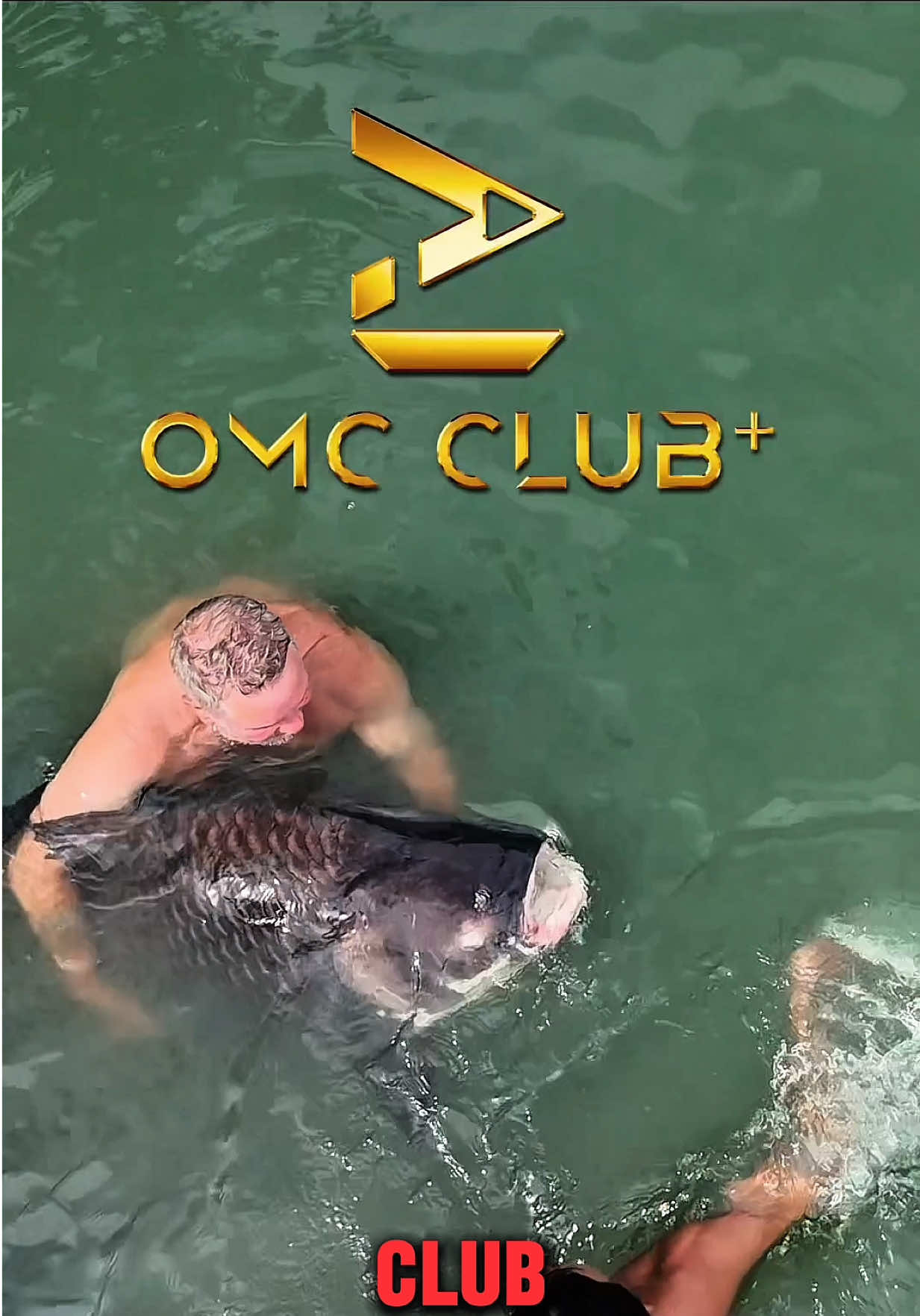@Ali Hamidi Angler