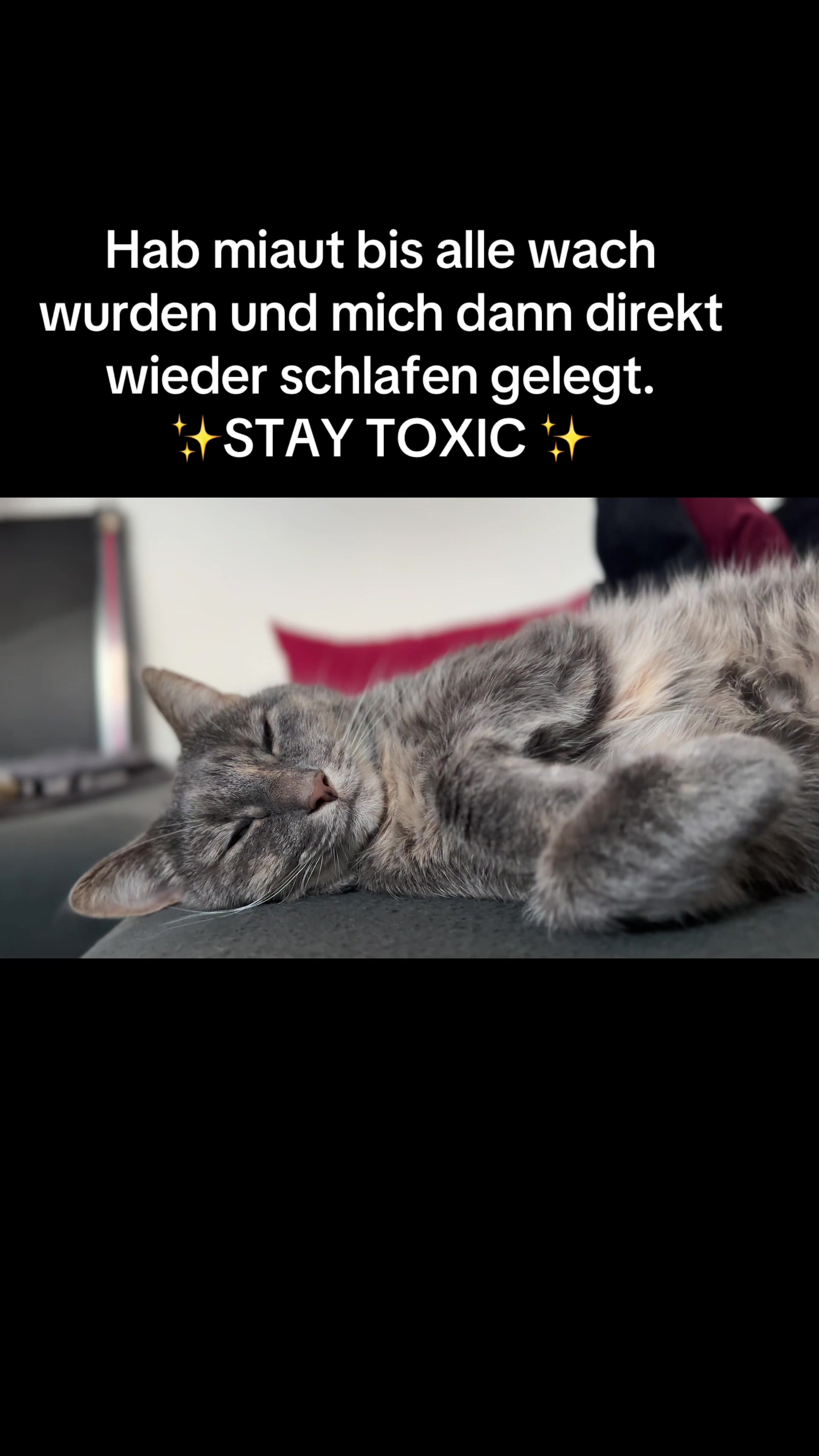 @Happykittycats_