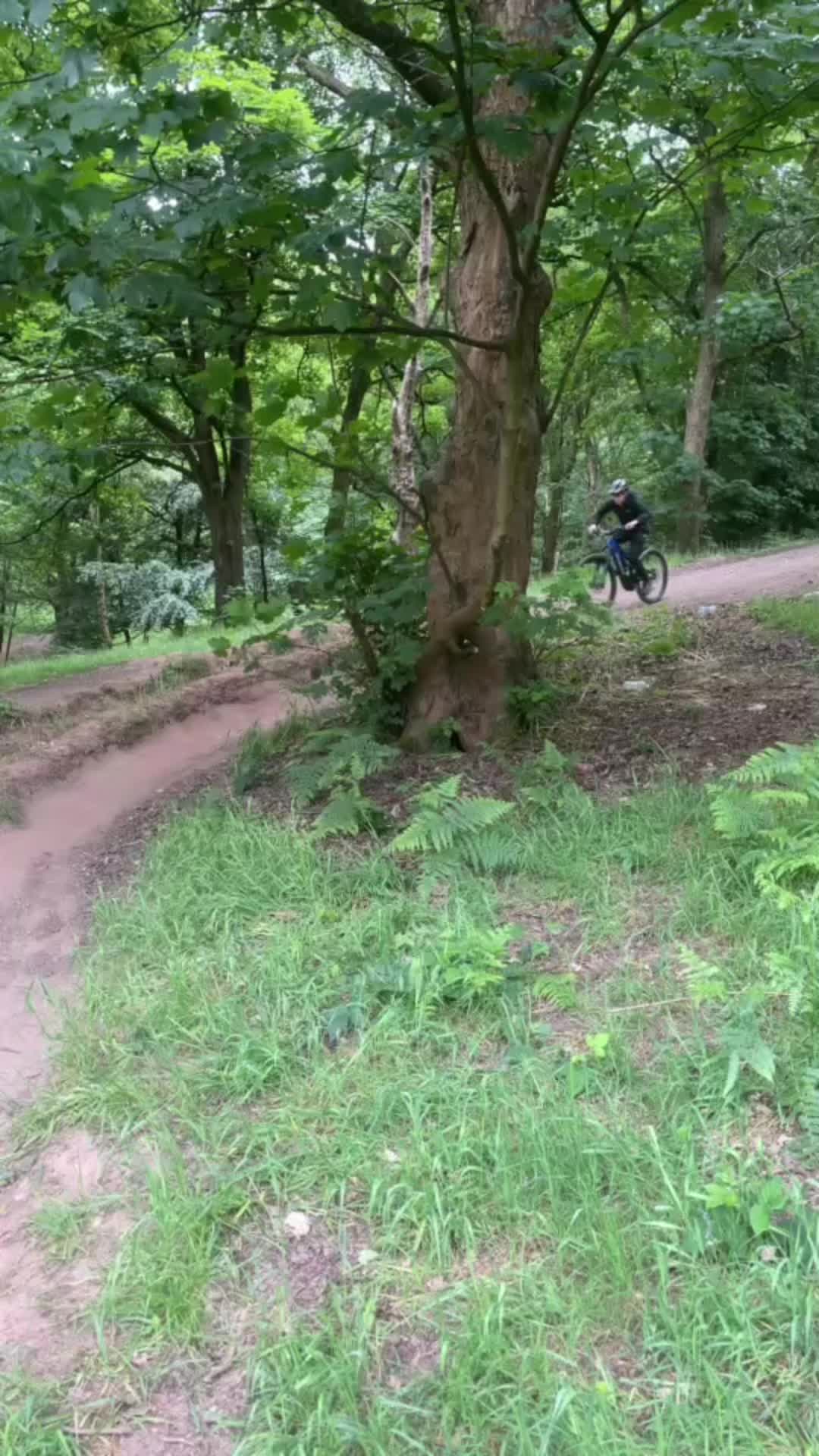 @Divvy🇬🇧