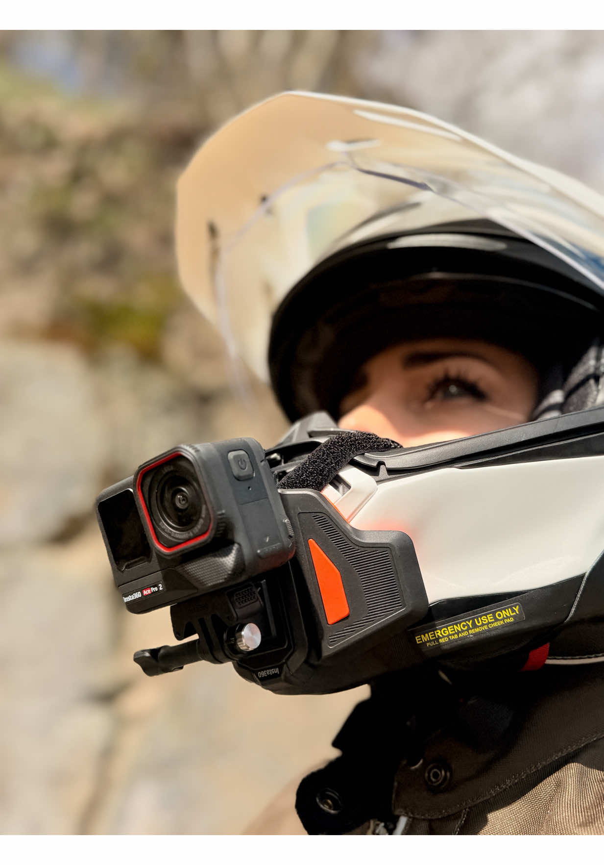 @Moto Fox Veronika