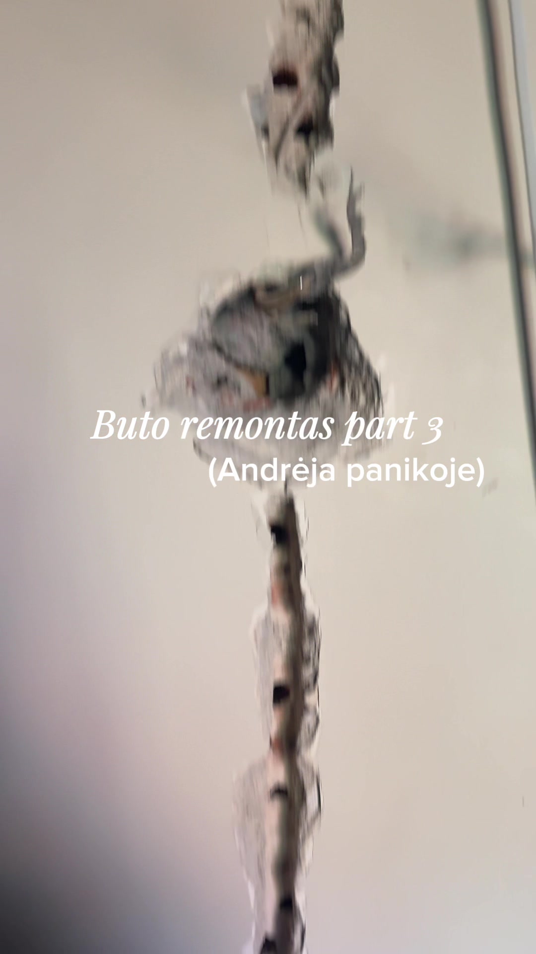 @Andrėja Jan