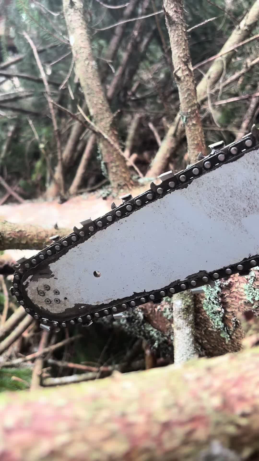 @Agrarius 🌲🇦🇹