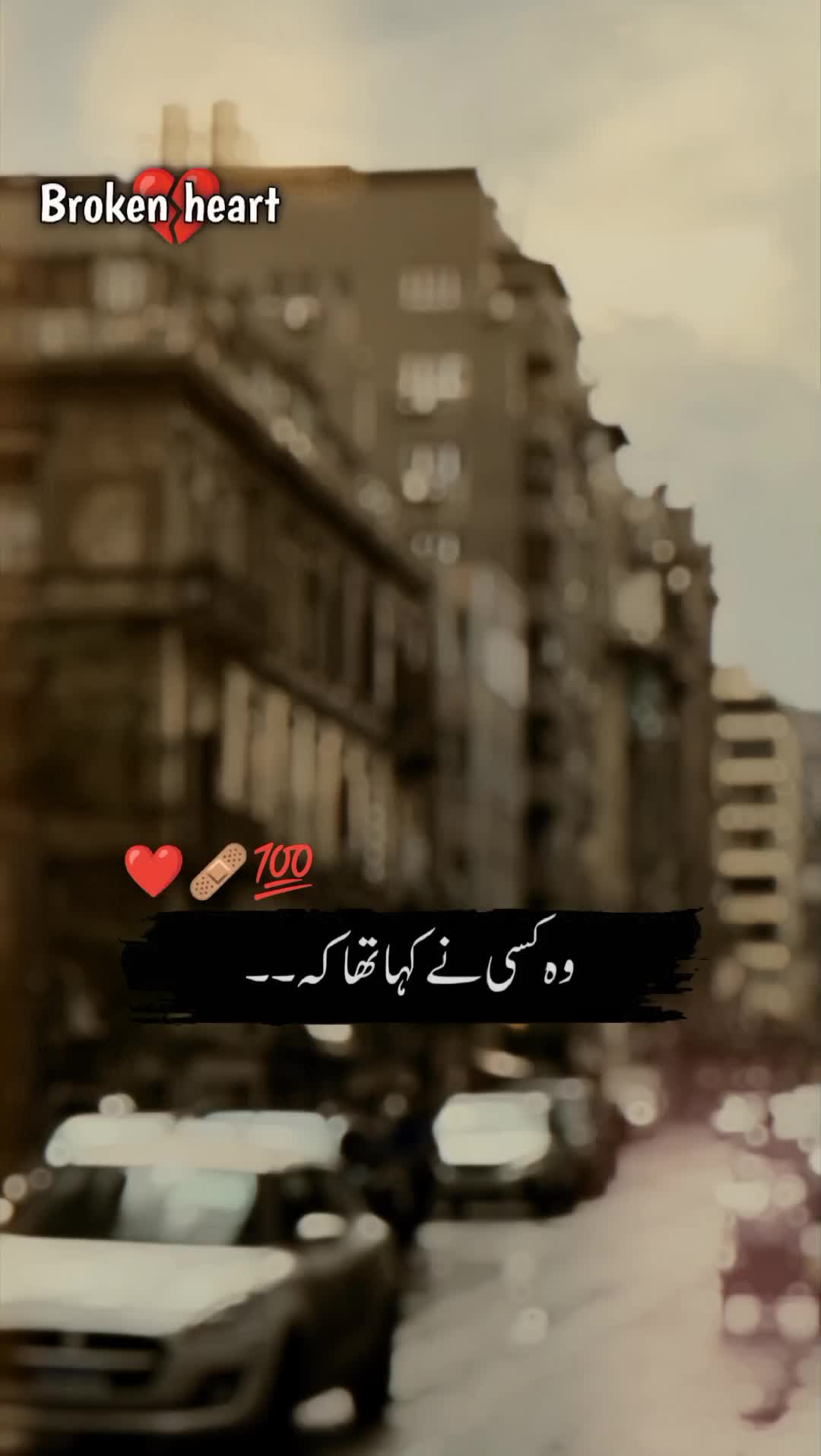 @🍂سرورِ عشق🫀
