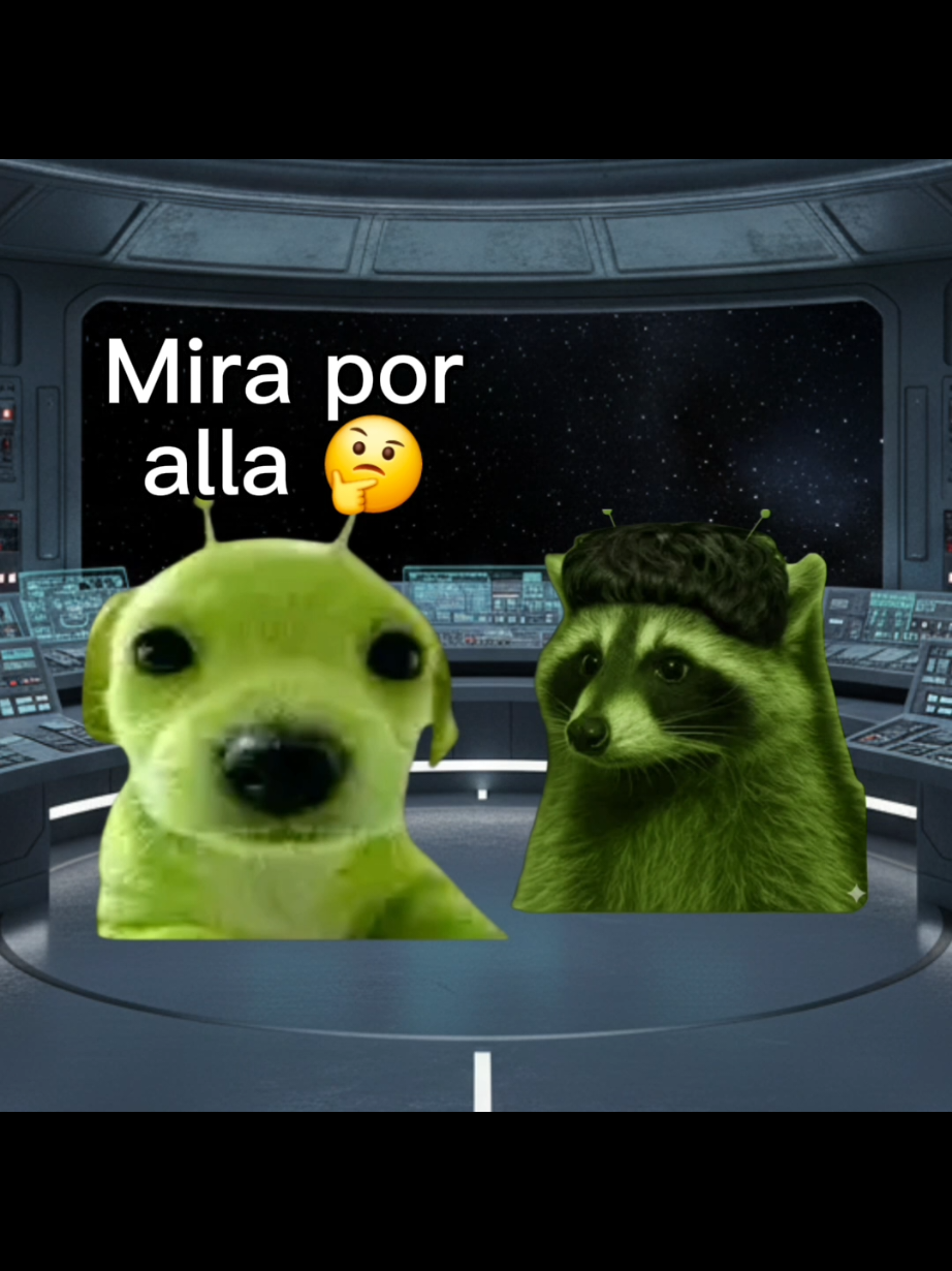 @El Perrix