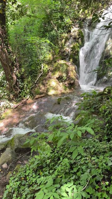 @Choukri amazigh