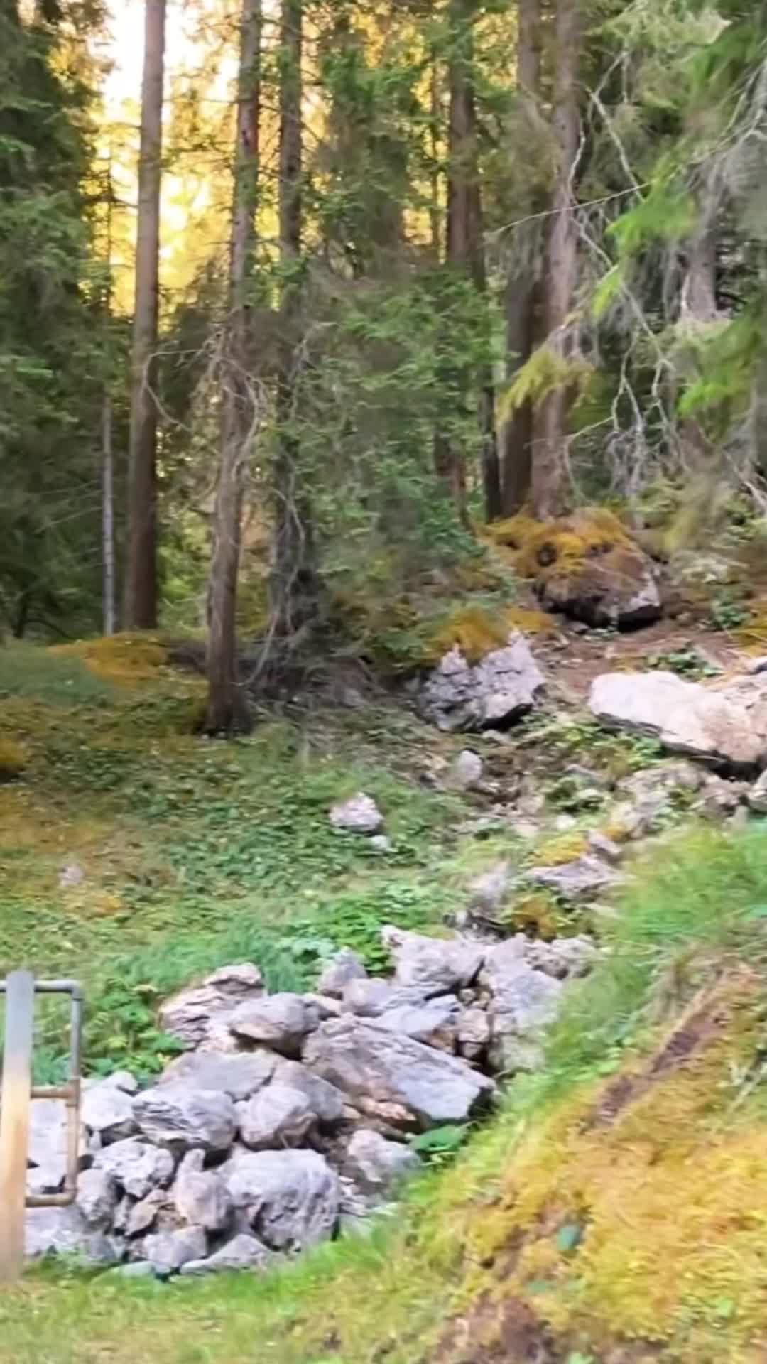 @Mountain_lover58599