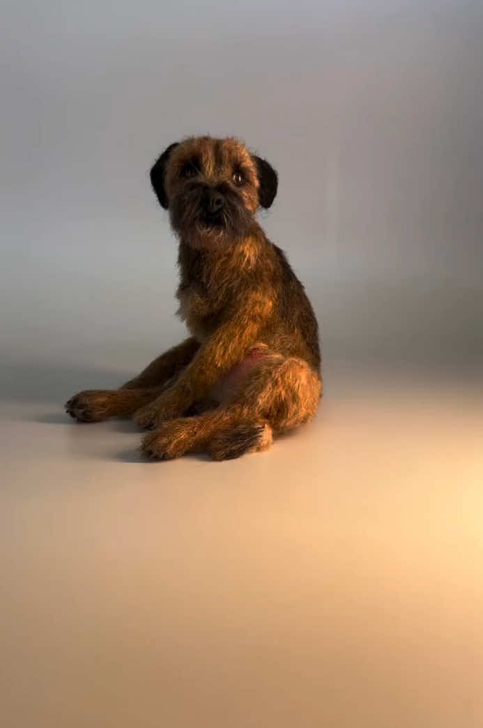 @FlyByFeltstiktok