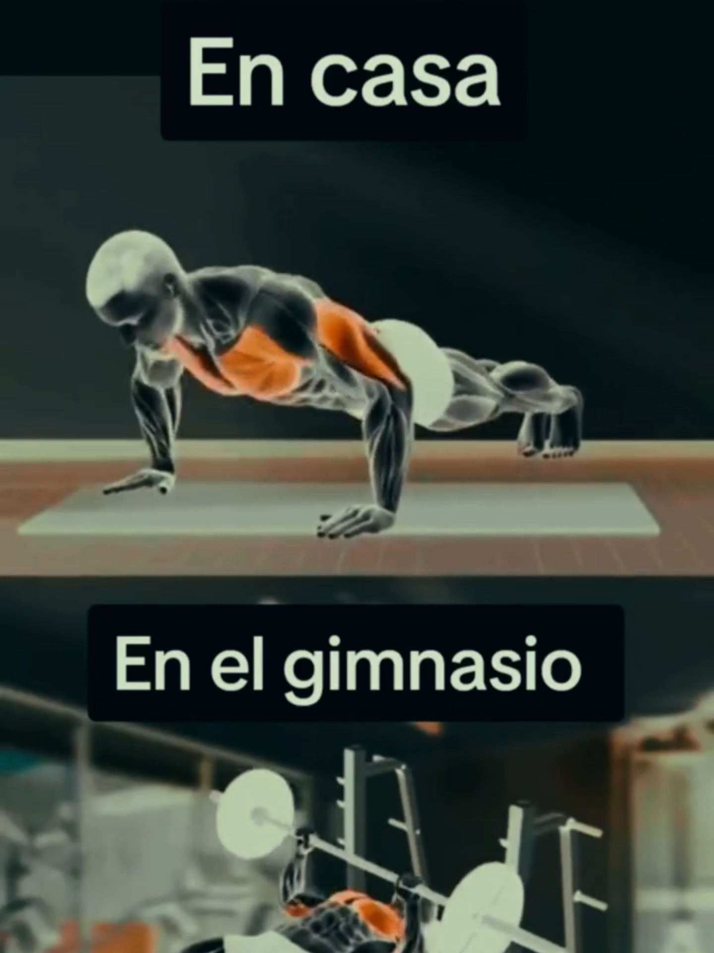 @Calistenia 360 academy