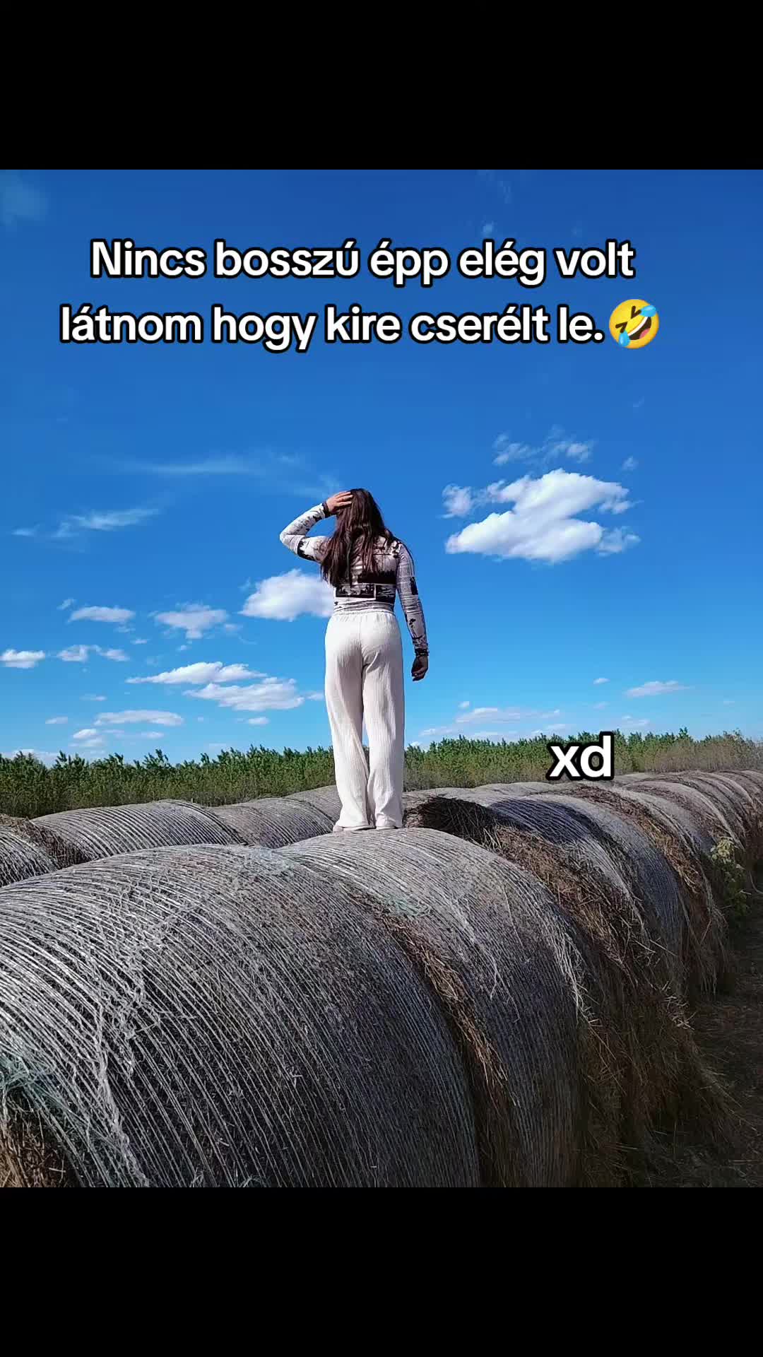 @Hannas_12