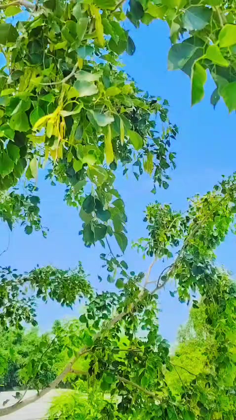 @سلمان خان786
