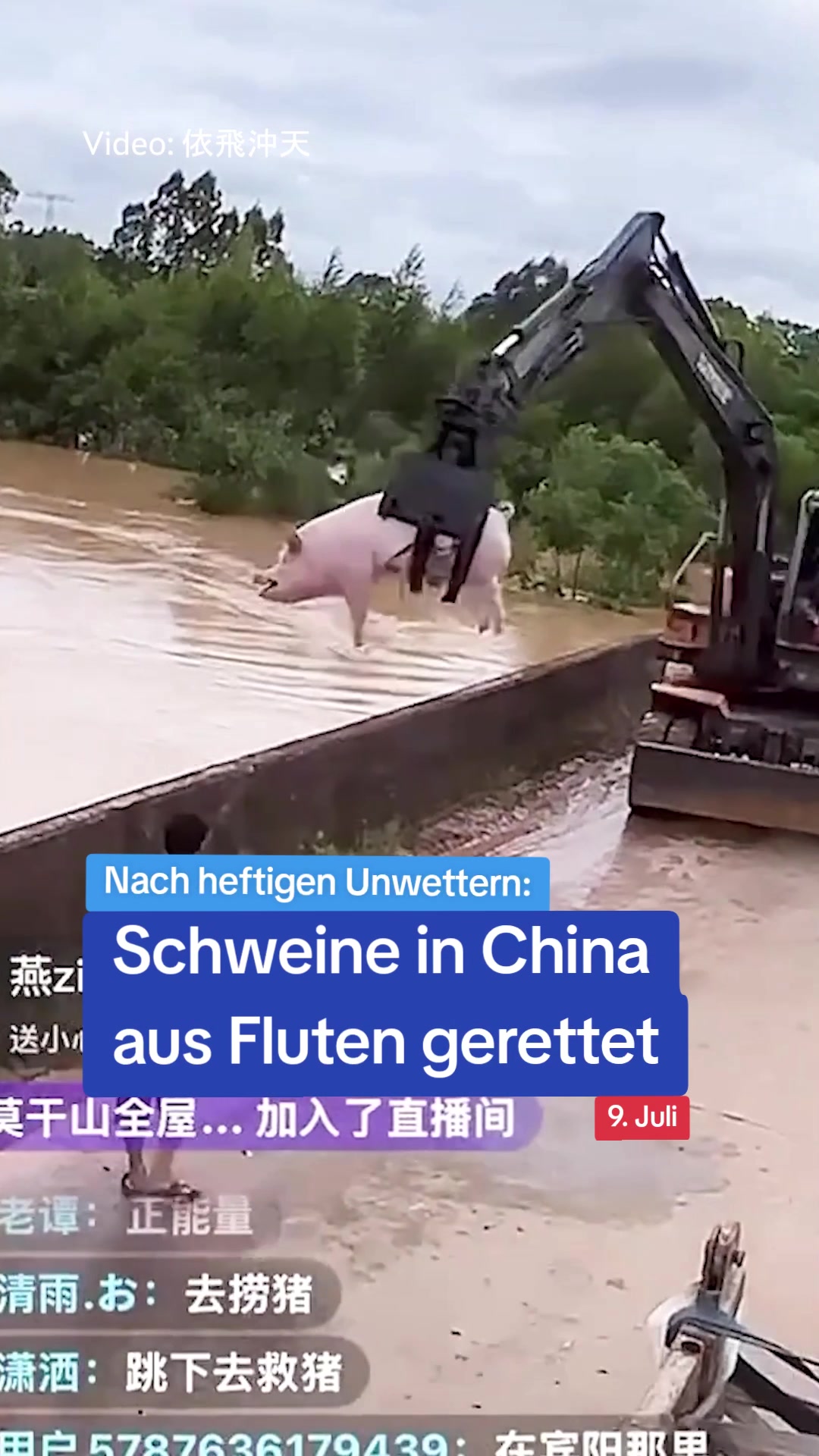 @Zeit im Bild - ZIB