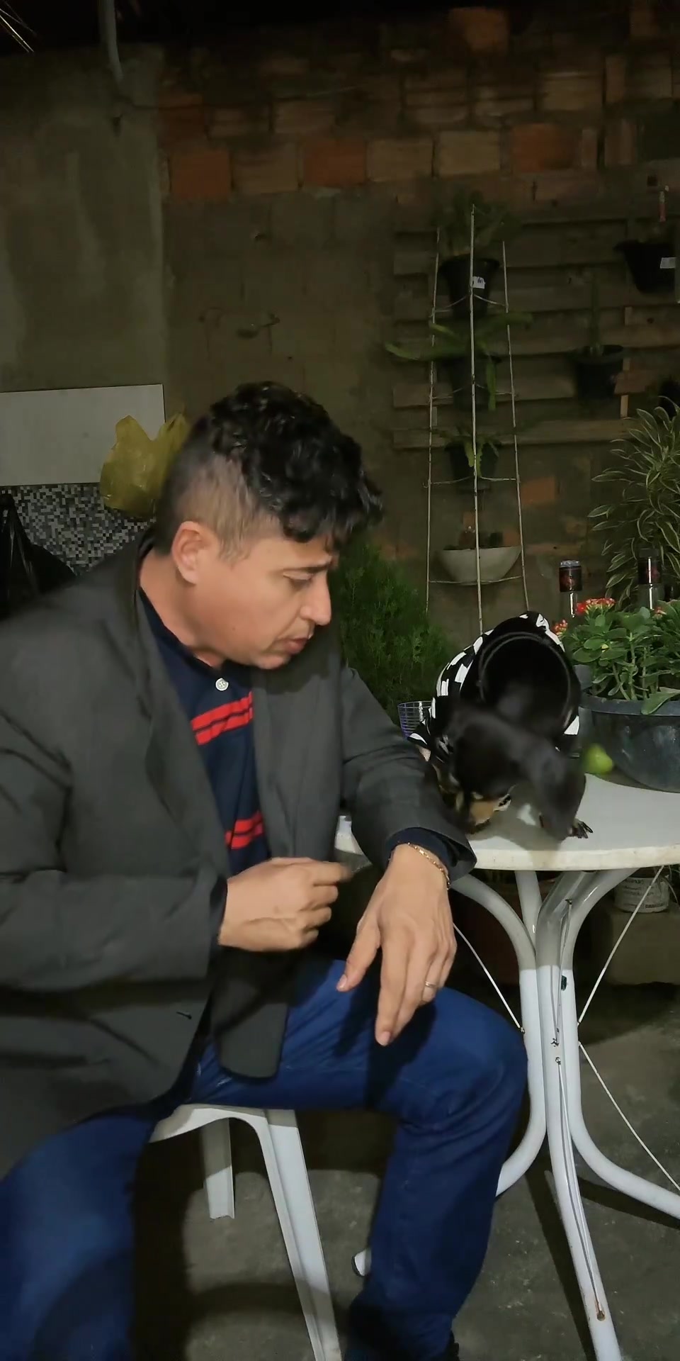 @Z&eacute; bebinho da mam&atilde;e oficial