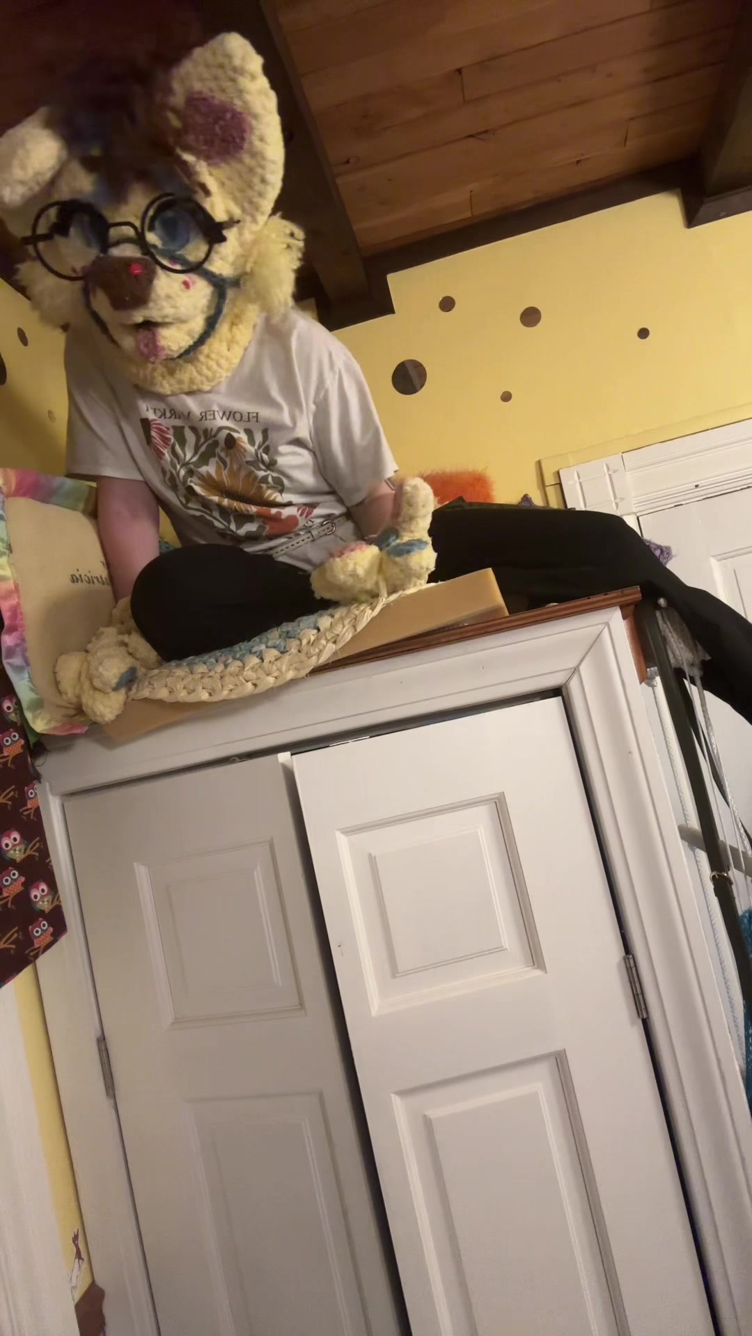 @Theonewiththeunicycle