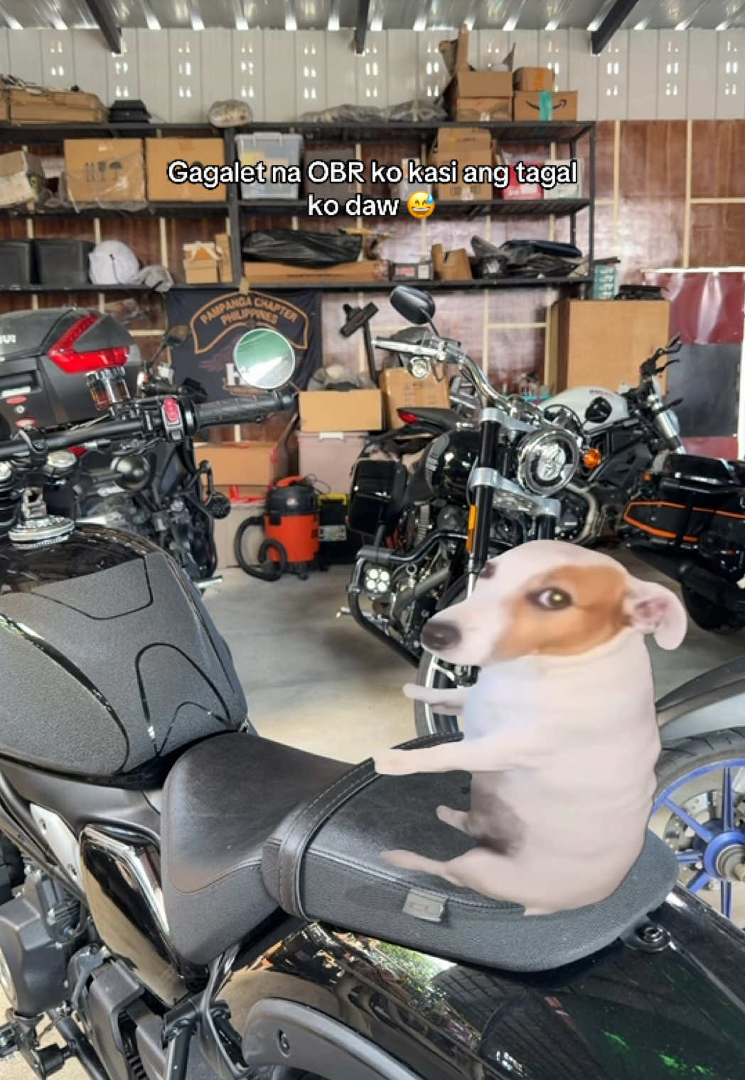 @MevuMoto