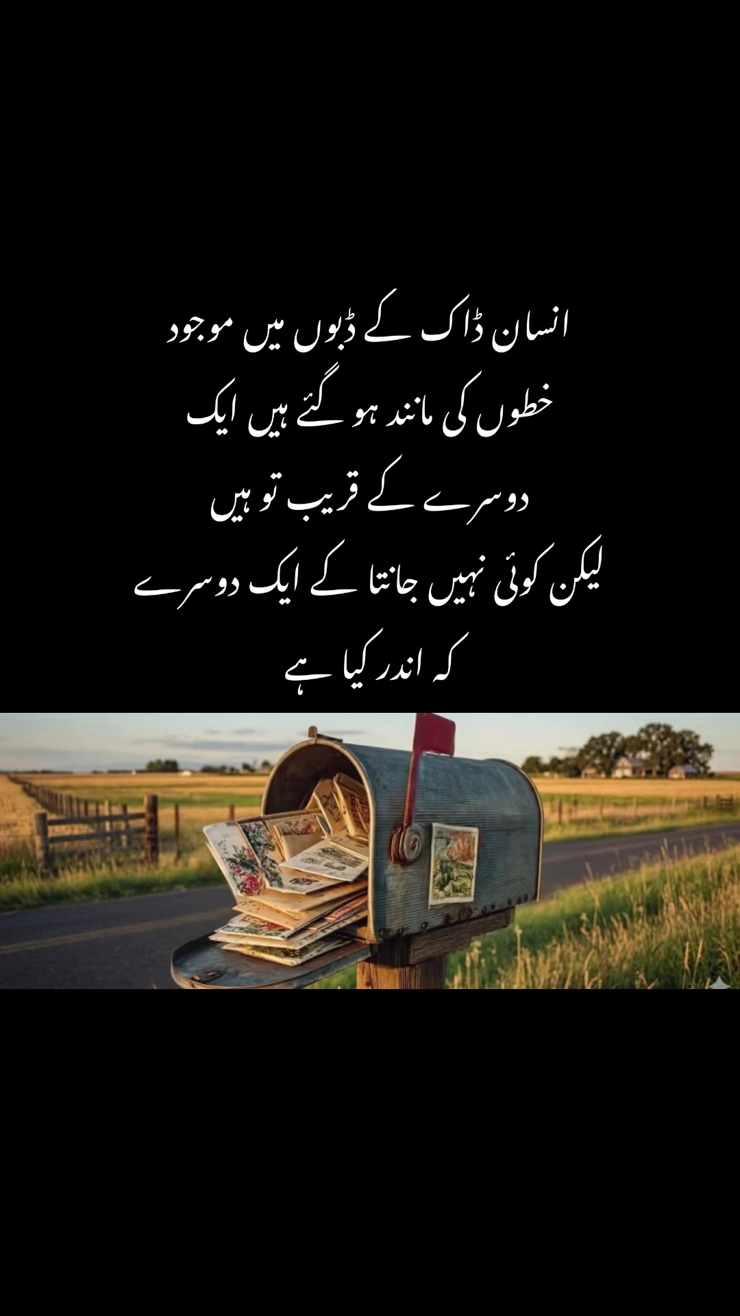 @Noor