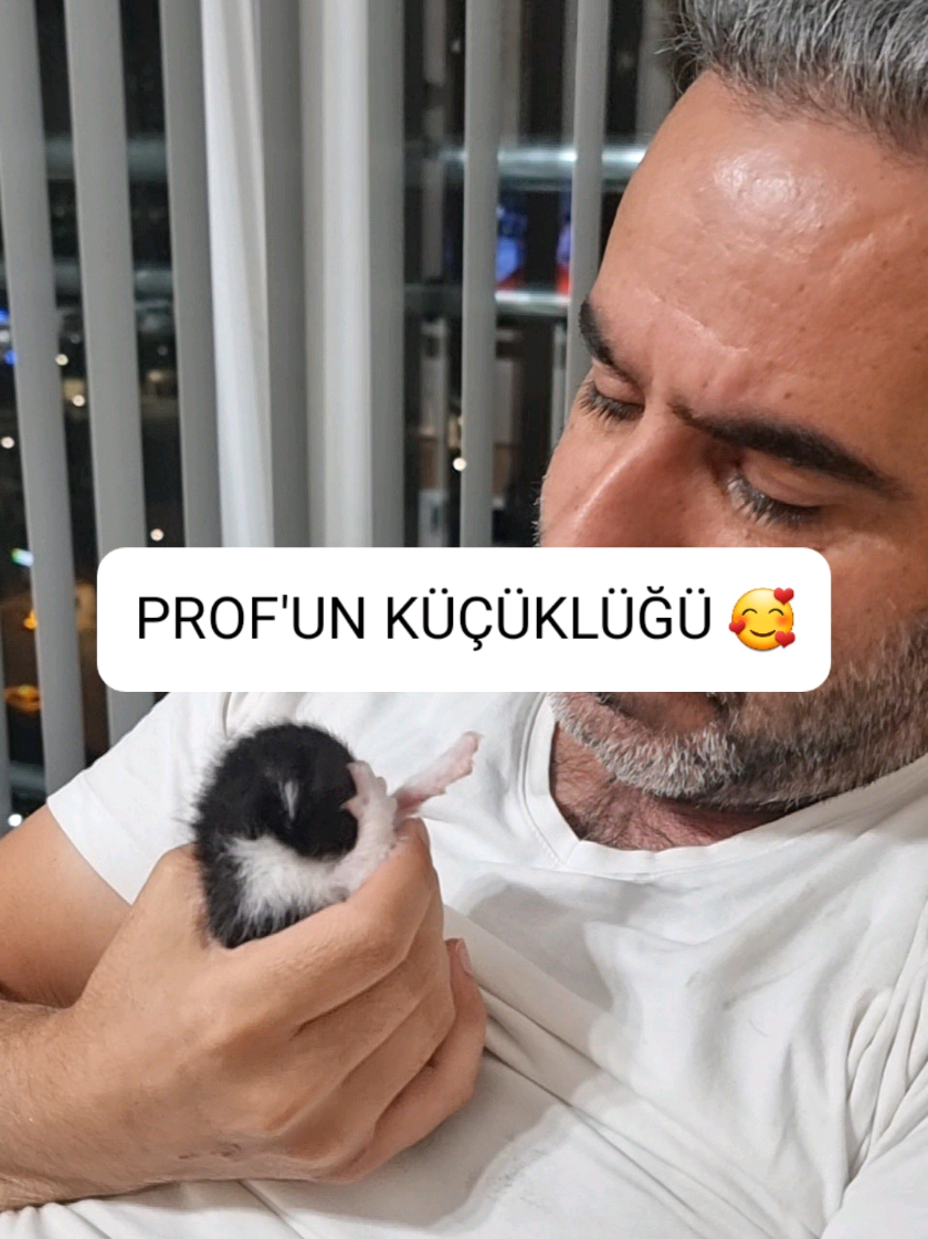 @kedichico