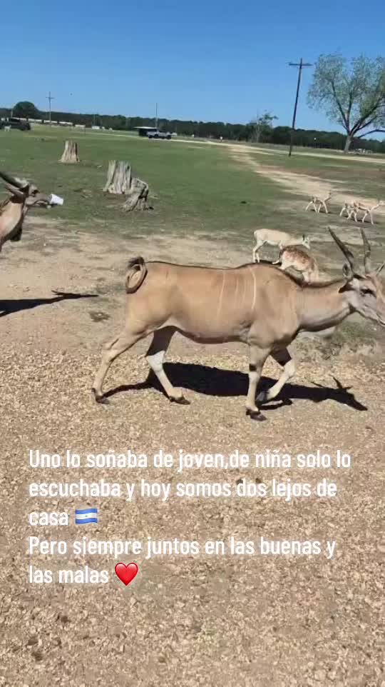 @Tania Matus