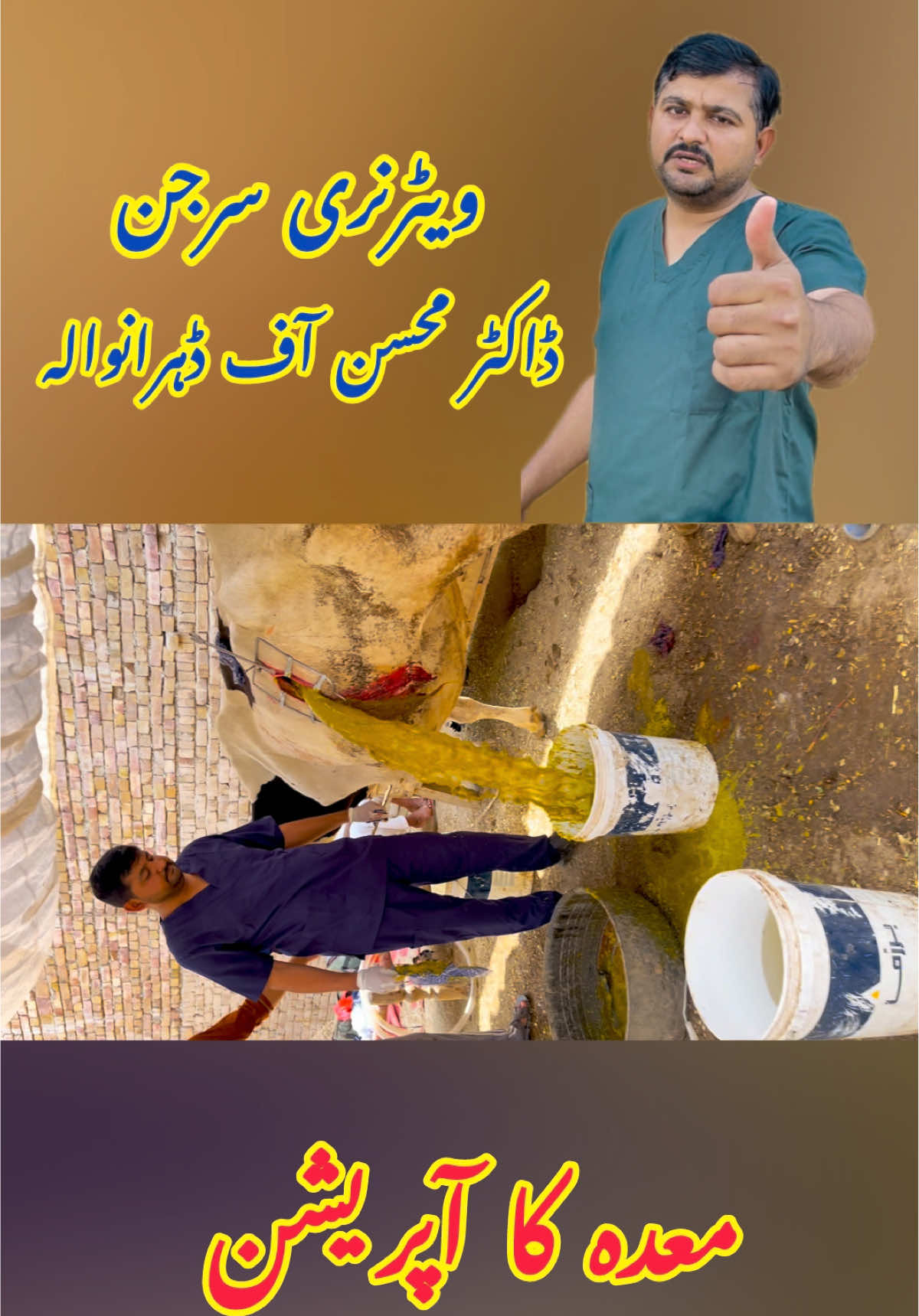 @vet.dr.mohsin4800