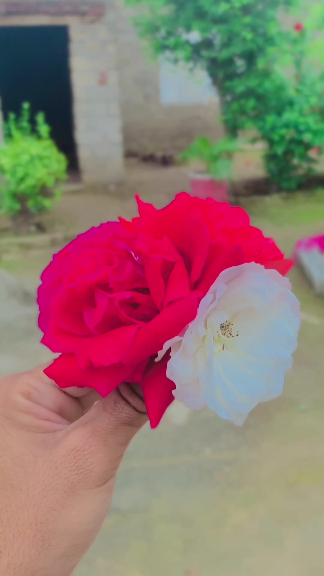 @kalliwala
