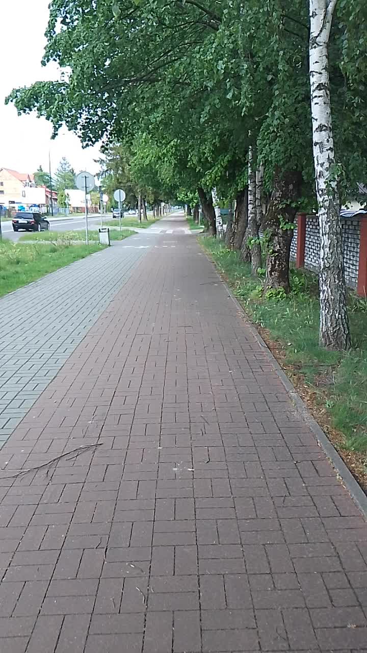 @пілігримІван Рябущиць