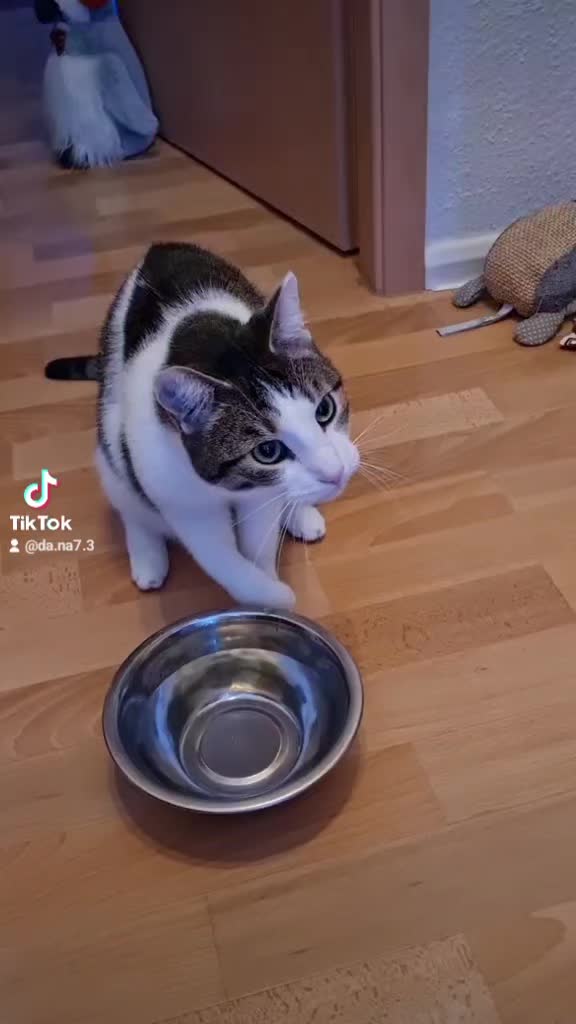 @🦋😼 Dana 😼🦋