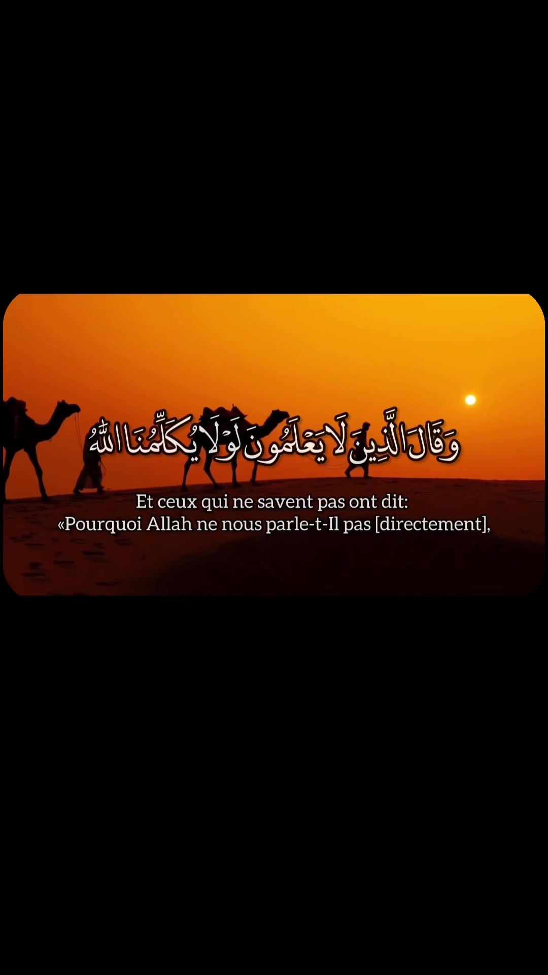 @Quran🤍 Recitation 🎙️