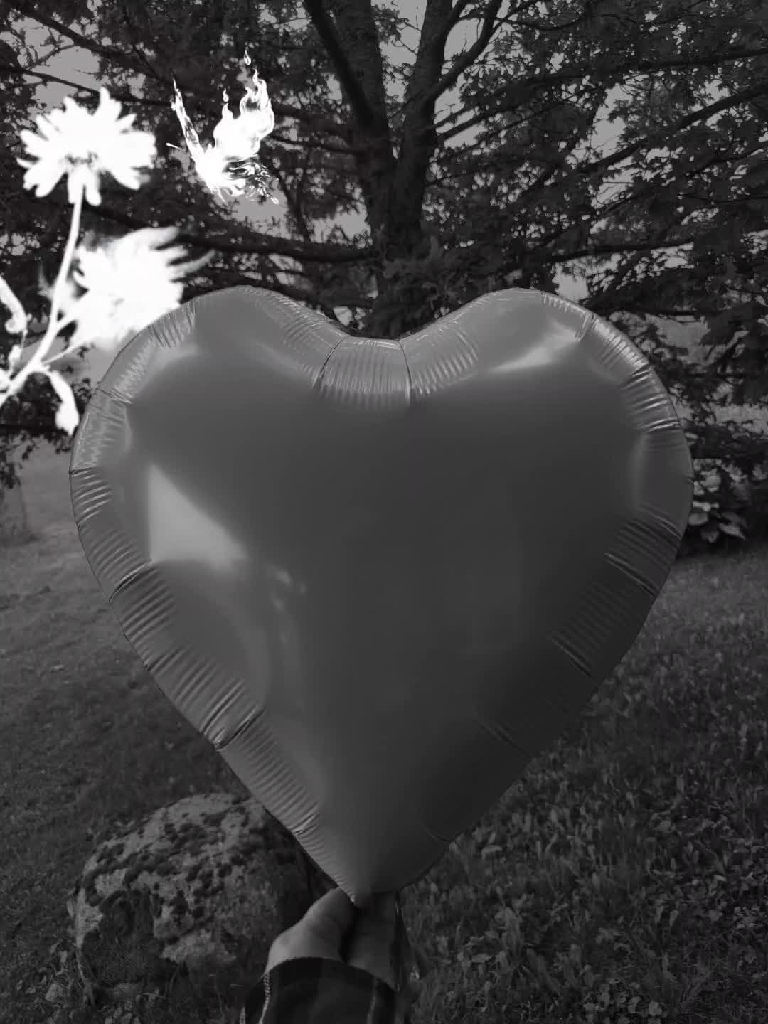 @_t_a_t_j_a_n_a_