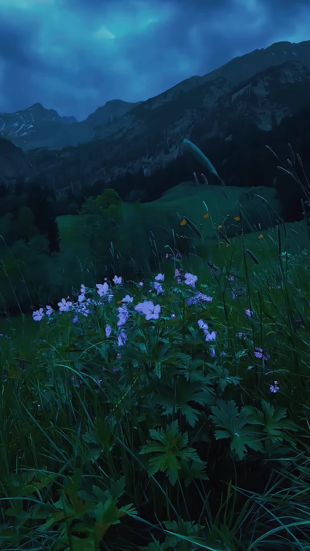 @NatureVibes0