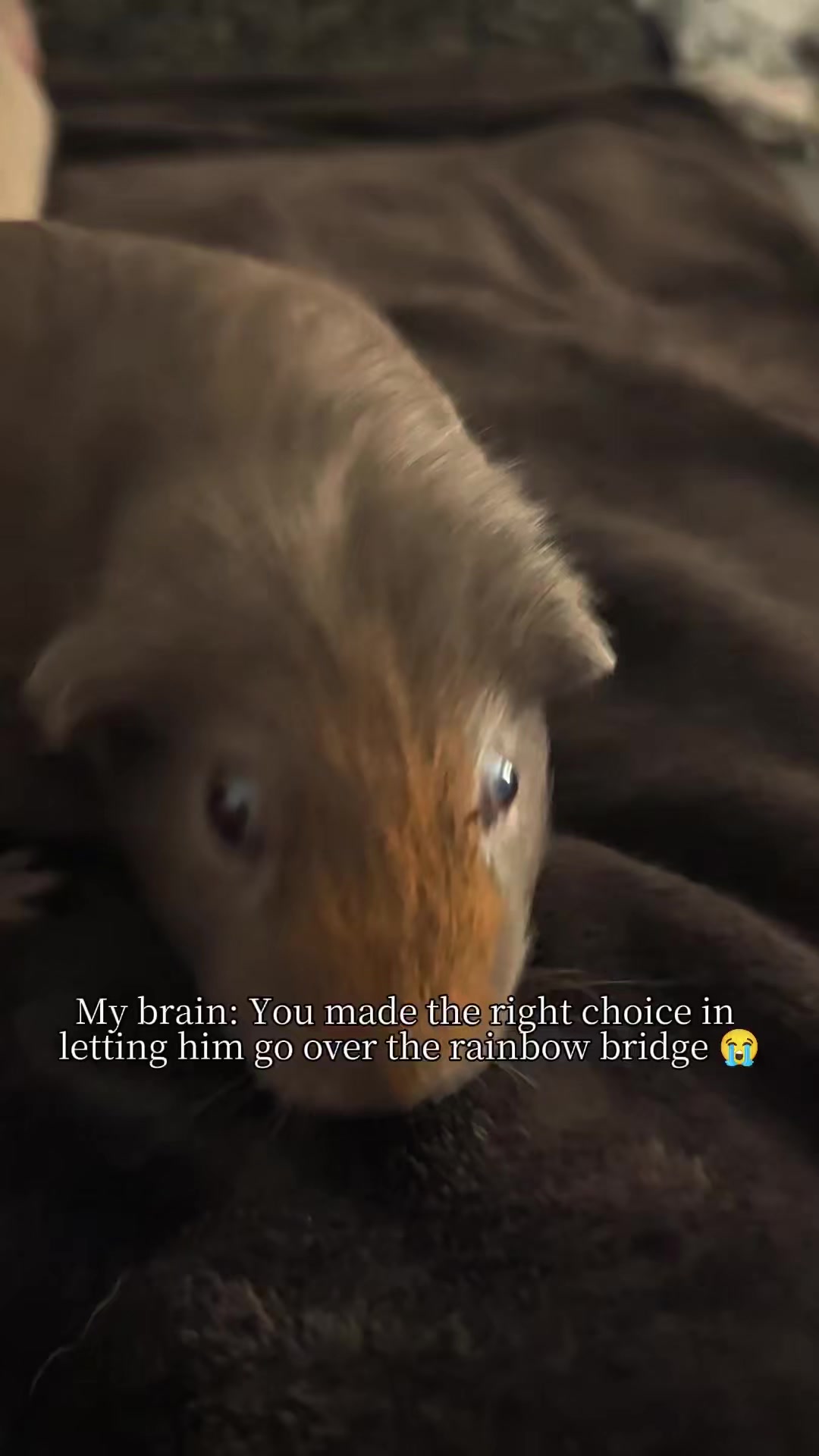 @Lauren🌈