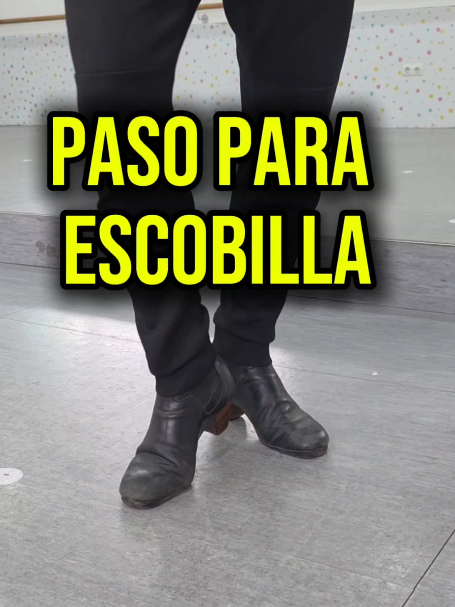 @Mario de los Santos Flamenco
