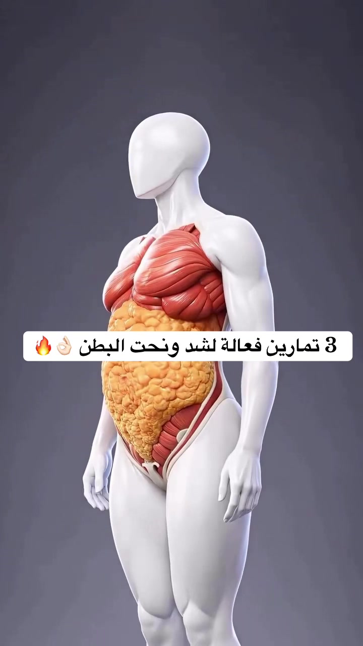 @دايت ماجد