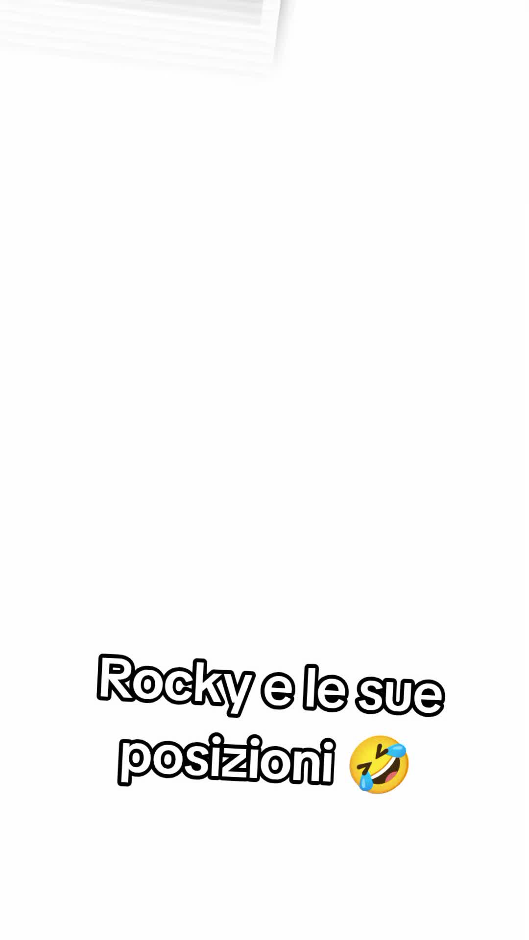 @Rocky🩵