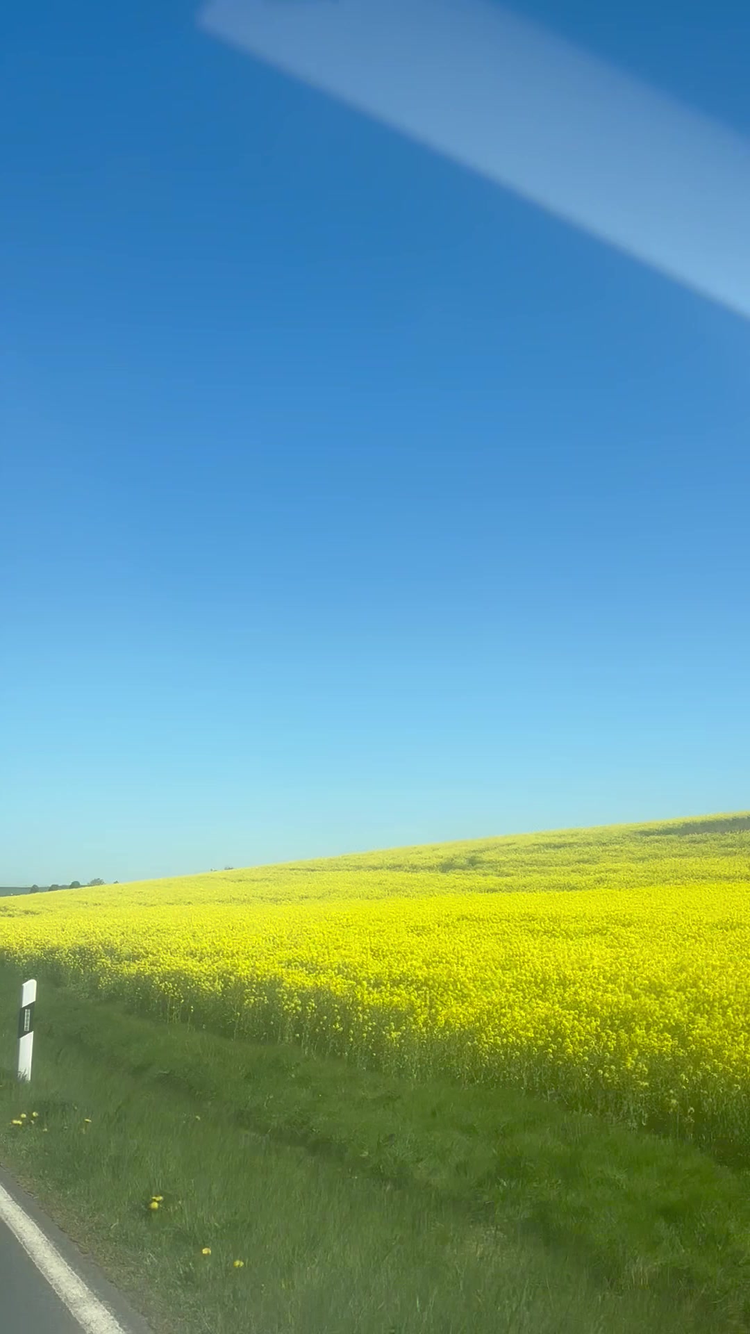@🌸🌺šapat duše 🌺🌸