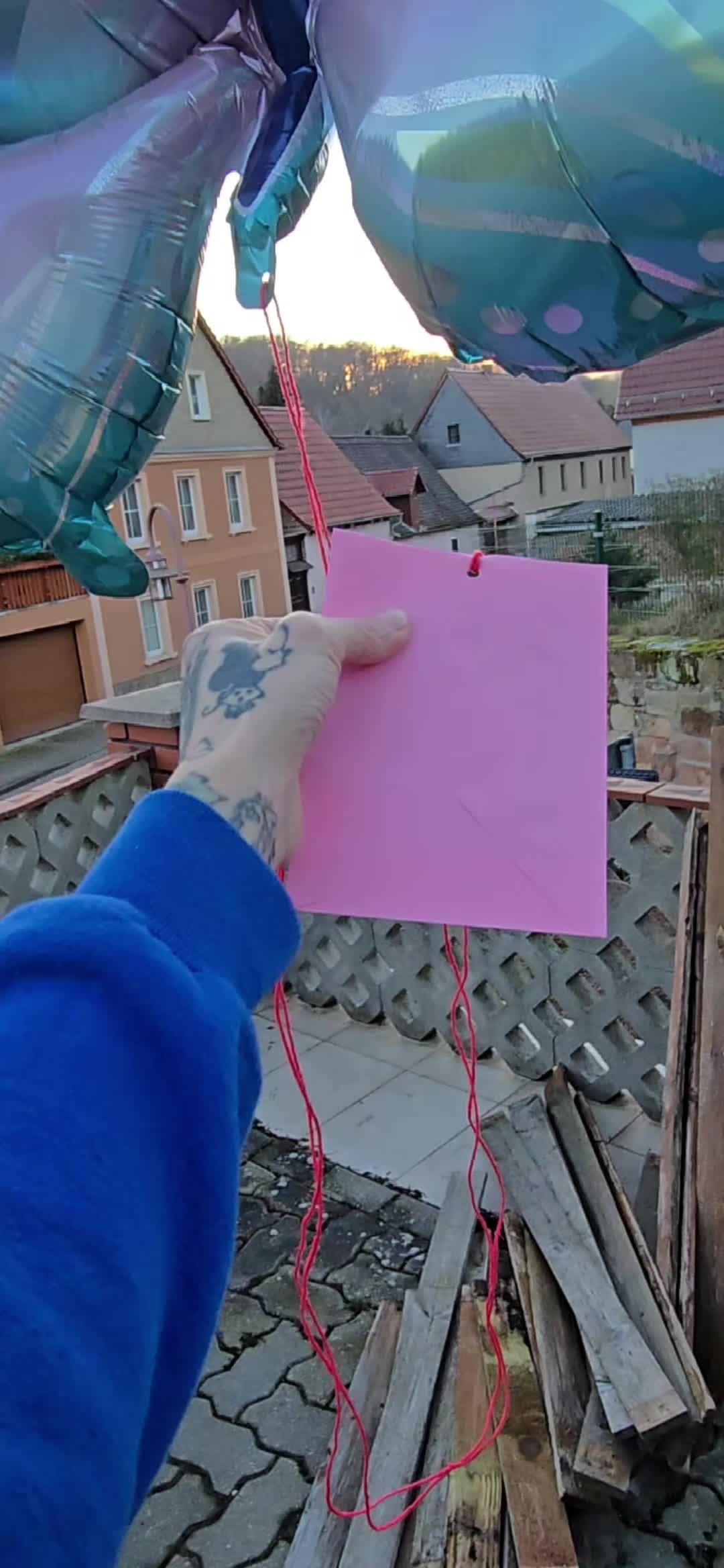 @DanielaTrapp