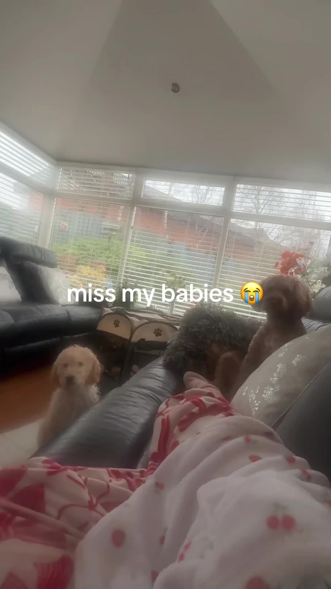 @katiejwrx18