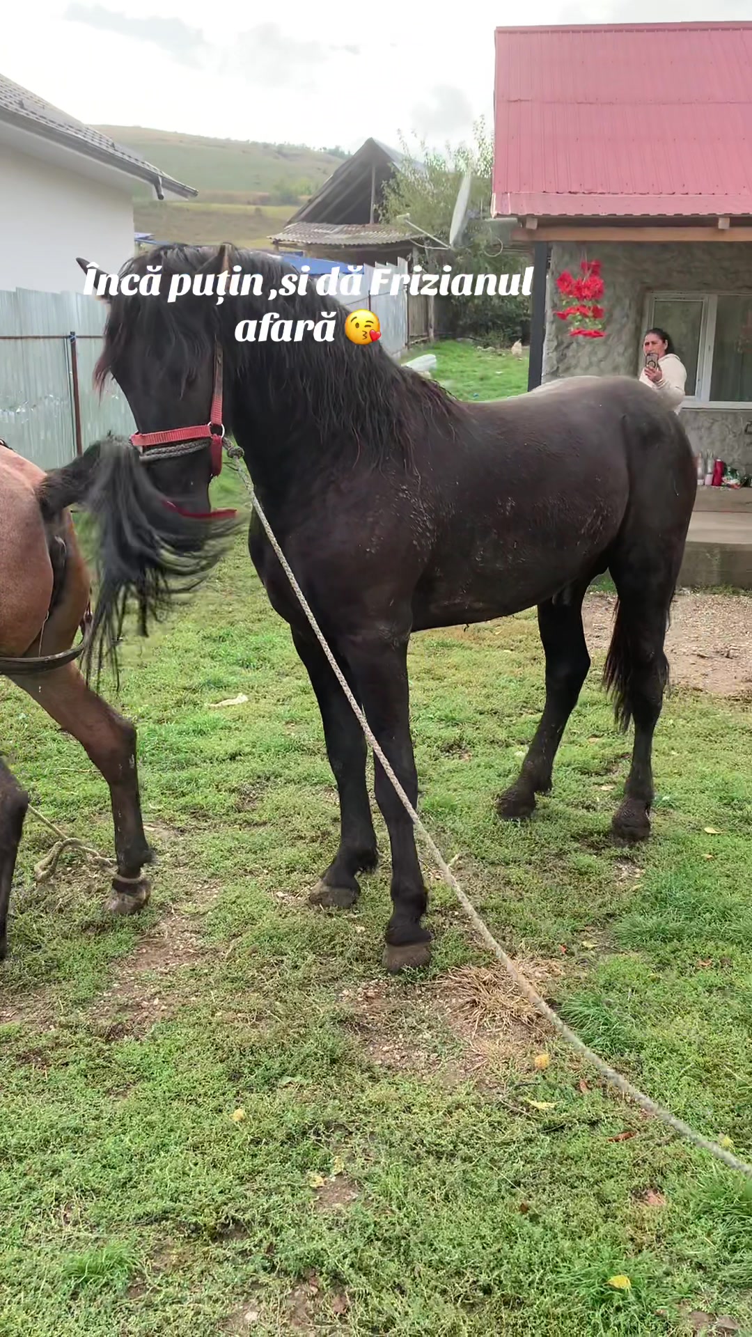 @Vlăduț💲
