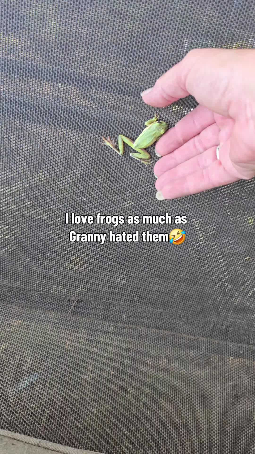 @lynnipoo