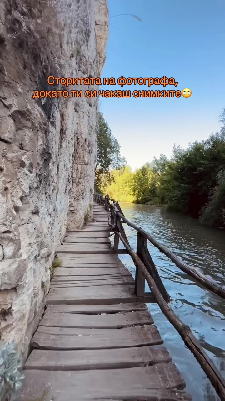 @IvkoVision