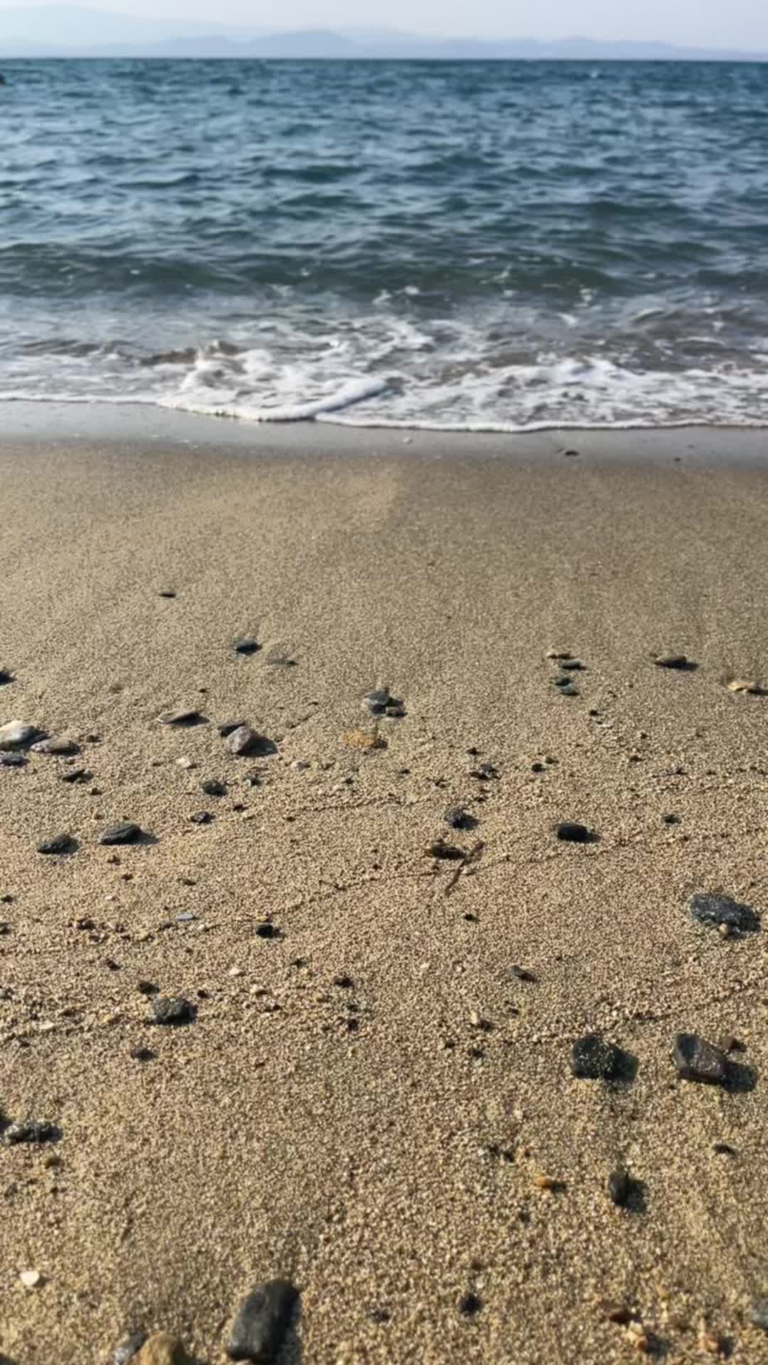 @𝘼𝙡𝙮𝙖