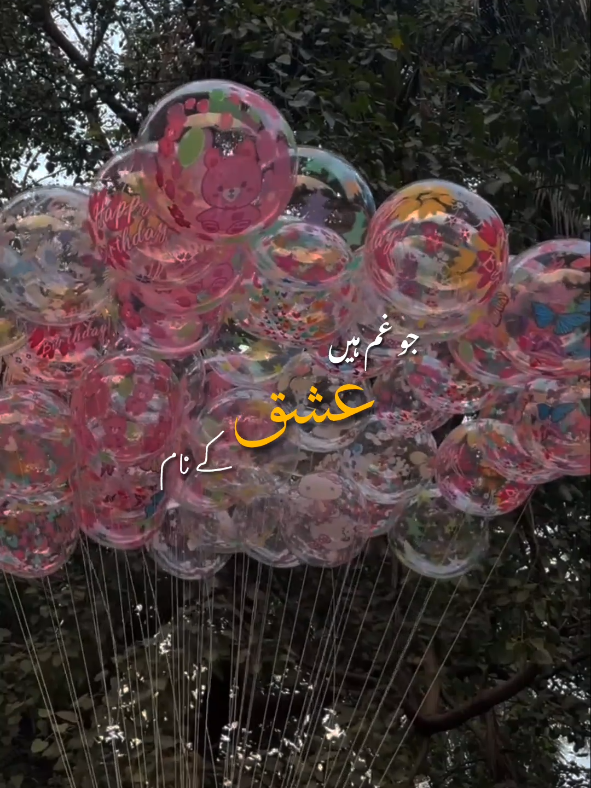 @𓆩𝘽 𝘼 𝘽 𝘼 𝙍𓆪 -🧸