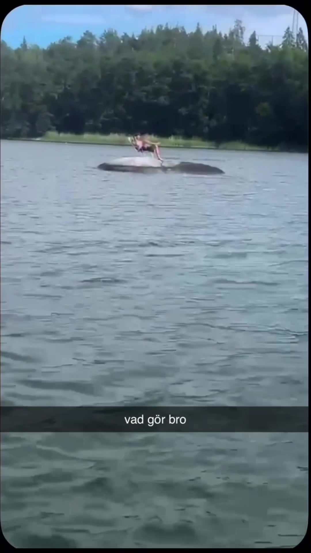 @Lillebror